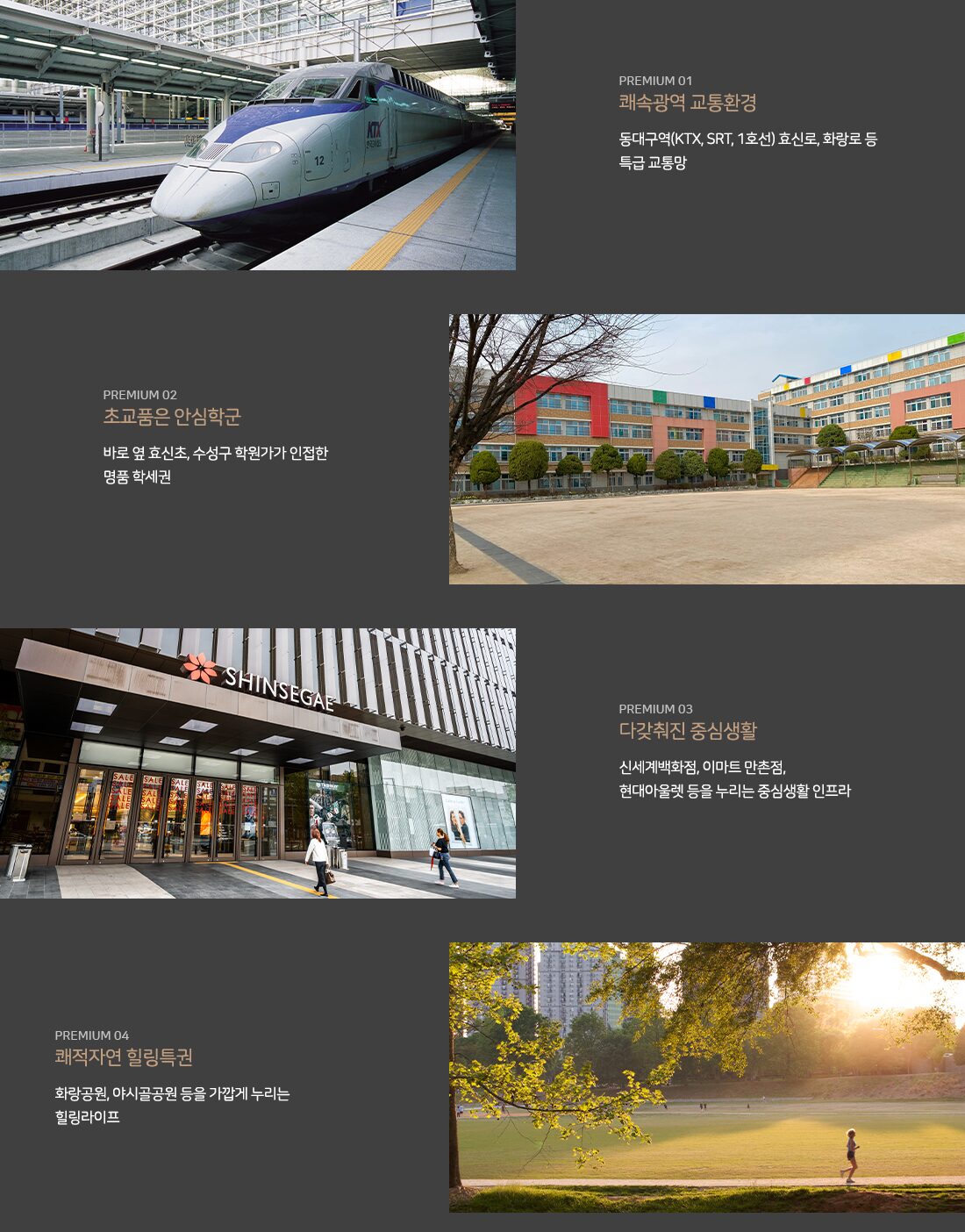 더팰리스트 데시앙 프리미엄